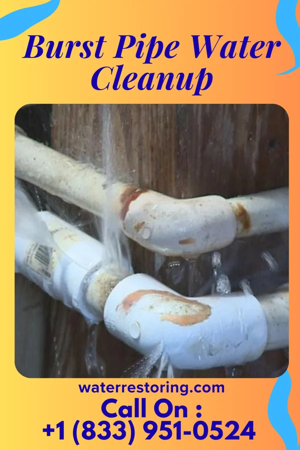 Burst Pipe Water Cleanup in Claiborne, LA